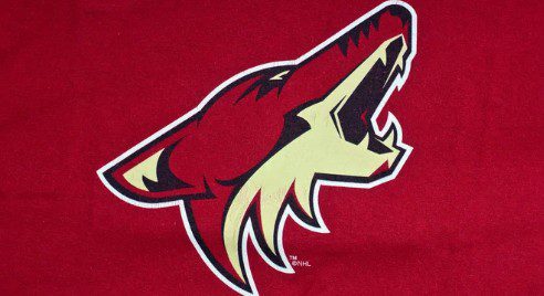 美国NHL的Arizona Coyotes在体育场推广体育博彩合法化